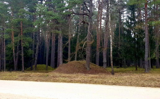 17_Salako pilkapynas (1).jpg